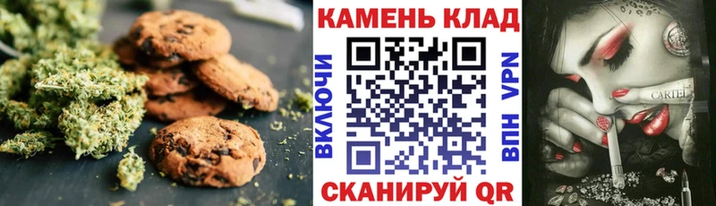 Купить закладки  Бабаево  Cannafood конопля 