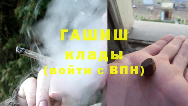мдпв Гусь-Хрустальный