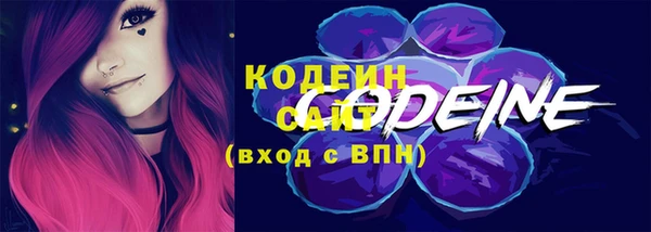 мдпв Гусь-Хрустальный