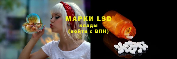 мдпв Гусь-Хрустальный