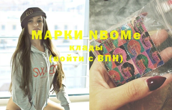 мдпв Гусь-Хрустальный
