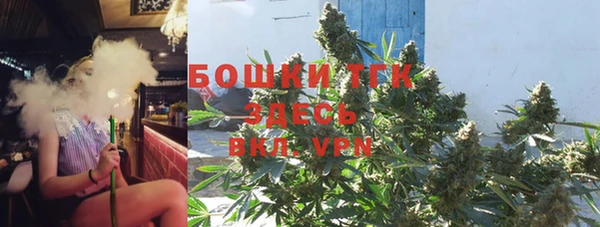 мдпв Гусь-Хрустальный