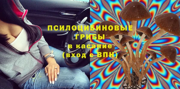мдпв Гусь-Хрустальный
