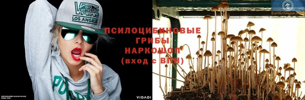 марихуана Гусиноозёрск
