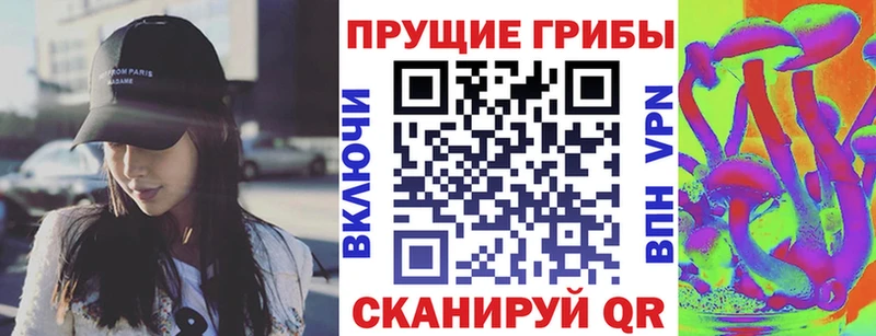 Купить закладки  Бабаево  Галлюциногенные грибы Psilocybine cubensis 